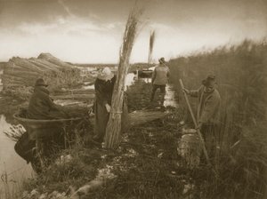 Pendant la récolte des roseaux, Vie et paysage sur les Norfolk Broads, vers 1886