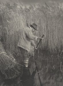 Un coupeur de roseaux au travail, 1886