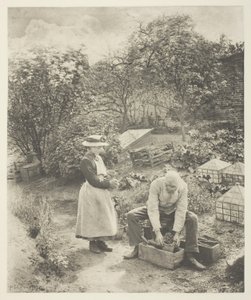 Un bout de jardin (Suffolk) - Peter Henry Emerson