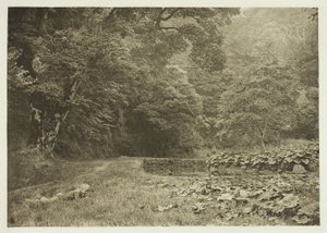 Un coin tranquille à Beresford Dale - Peter Henry Emerson