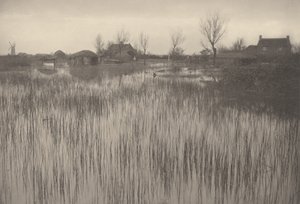 Une rive jonchée - Peter Henry Emerson