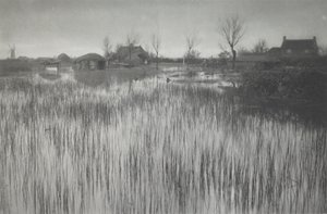 Une Rive Jonchée - Peter Henry Emerson