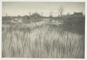 Un rivage rustique - Peter Henry Emerson