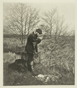 Au coin du couvert (Norfolk)