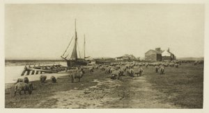 Blackshore, rivière Blythe (Suffolk) - Peter Henry Emerson