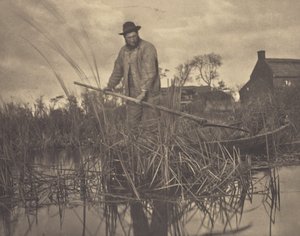 Découpage du Gladdon - Peter Henry Emerson