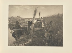 Pendant la récolte des roseaux - Peter Henry Emerson