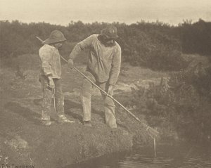 AnguilleCueillette dans les eaux du Suffolk - Peter Henry Emerson