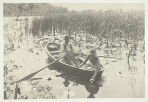 Cueillir des nénuphars