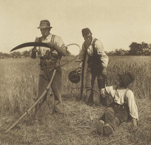 Pendant la moisson d