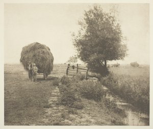 Dans le Haysel (Norfolk) - Peter Henry Emerson