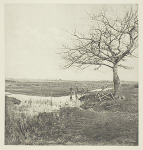 Mars sans feuilles (Suffolk) - Peter Henry Emerson