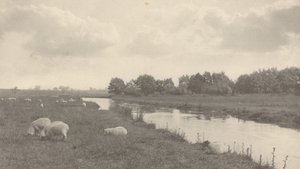 Sur la rivière Bure - Peter Henry Emerson