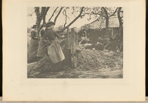 OsierPeeling. [Norfolk]].