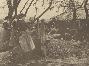 OsierPeeling. [Norfolk]].