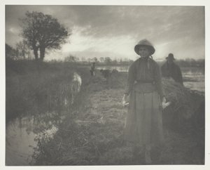 Faucher le foin des marais