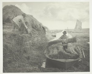 Empilage des roseaux - Peter Henry Emerson