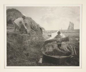 Empilage des roseaux - Peter Henry Emerson