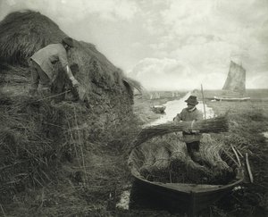 Ricking the Reed - Peter Henry Emerson