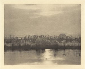 Cristaux de givre - Peter Henry Emerson