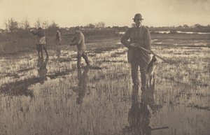  - Peter Henry Emerson