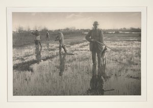  - Peter Henry Emerson