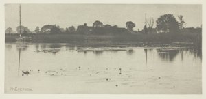 La Frange du Marais - Peter Henry Emerson