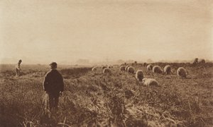 Les marais en juin - Peter Henry Emerson
