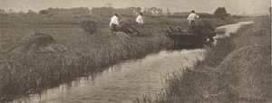 La récolte des joncs - Peter Henry Emerson