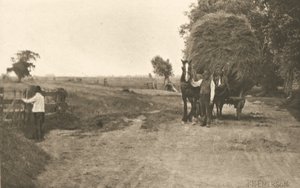 La richesse des marais - Peter Henry Emerson