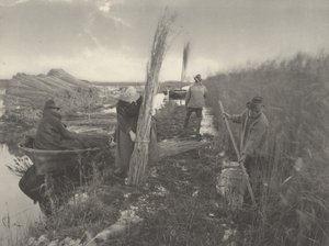 Pendant la récolte des roseaux - Peter Henry Emerson and T.F. Goodall