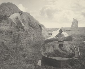 Ricking the Reed - Peter Henry Emerson and T.F. Goodall