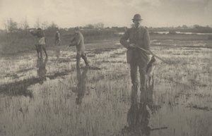 Chasse au bécassine