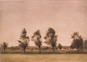 Paysage de Falster