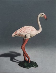 Flamant rose - Peter Jones