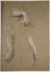 Études de mains, 17ème siècle - Peter Lely