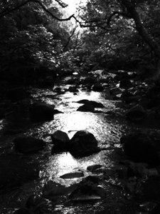 KINTYRE... PLUS. 18 - Peter McClure