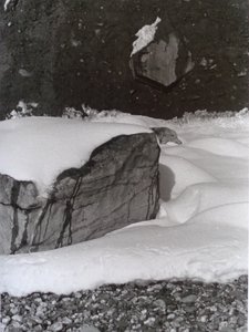 PHOTO N&B VINTAGE No.3, 1985