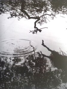 PHOTO N&B VINTAGE No.5, 1986