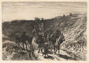 Train de burros, Nouveau-Mexique