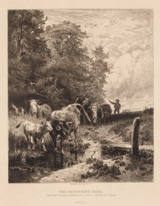 Le retour du troupeau