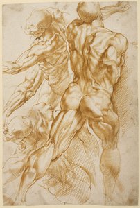 Études anatomiques - Peter Paul Rubens