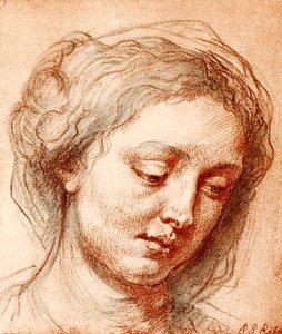 Tête de fille - Peter Paul Rubens