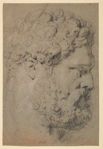 Tête du Farnèse Hercule