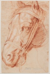  - Peter Paul Rubens