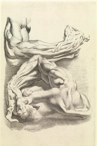 Muscles - Peter Paul Rubens
