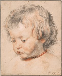 Nicolaas Rubens portant un collier de corail, vers 1619 - Peter Paul Rubens