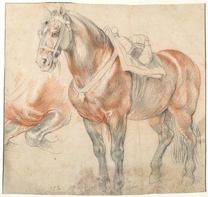 Cheval sellé