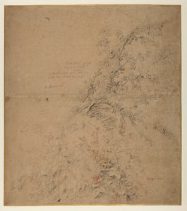 Étude de prunellier avec ronce et autres plantes - Peter Paul Rubens