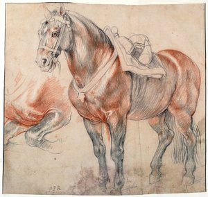 Un cheval sellé